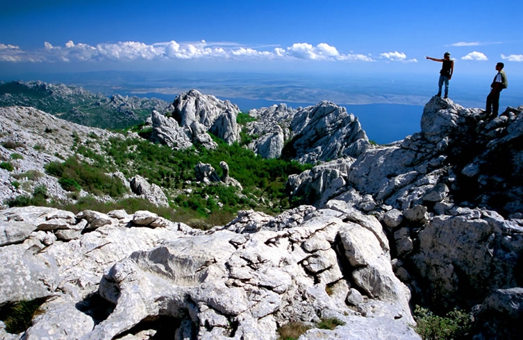 51% POPUSTA NA NOĆENJE ZA DVIJE OSOBE SA DORUČKOM U HOTELU VICKO, STARIGRAD-PAKLENI...