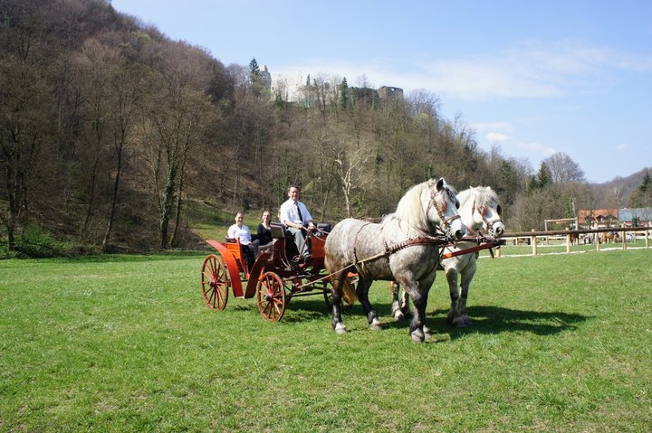 SAMO 30 KUNA ZA ROMANTIČNU VOŽNJU KOČIJOM KONJIČKOG KLUBA &bdquo;TETRA SAMOBOR&ldquo;...