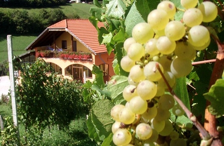 Odmor u najpitomijem i najpitoresknijem dijelu Prigorja uz vinsku kuću JANA